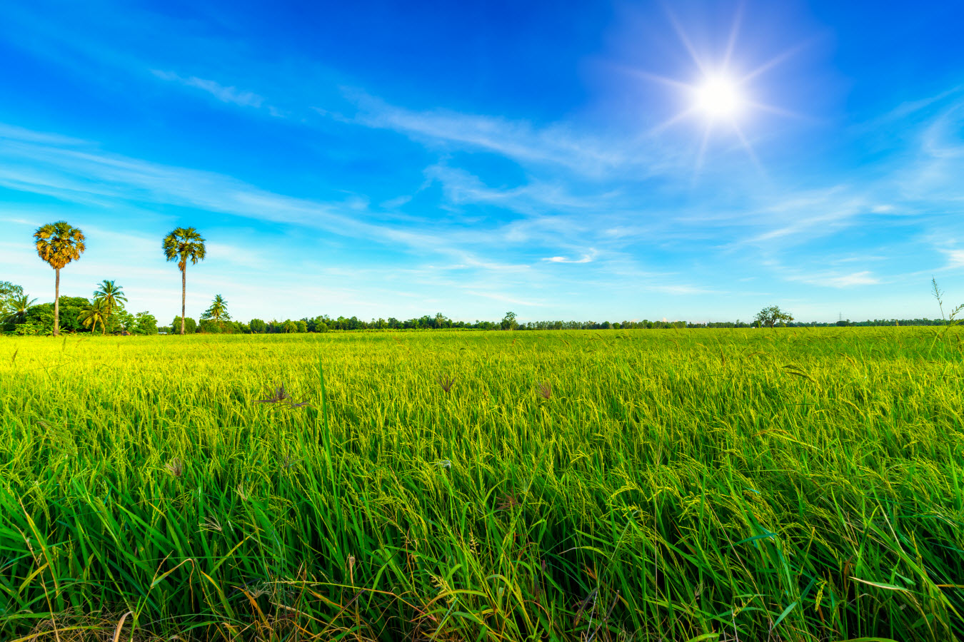 สำนักงานพาณิชย์จังหวัดกำแพงเพชร